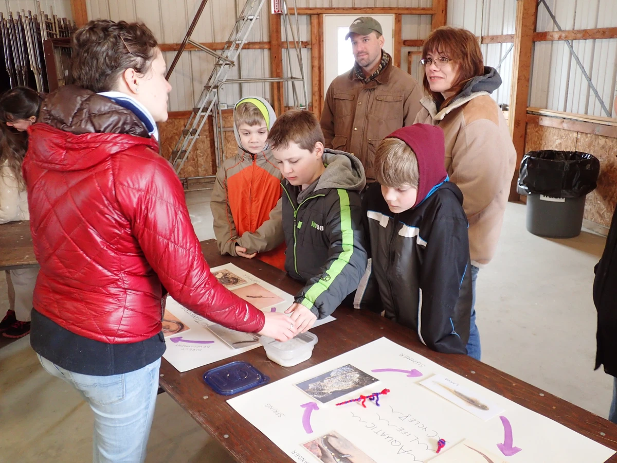 4H Extension - Lifecycle of a Salamander demonstration. Photo credit D. Muñoz